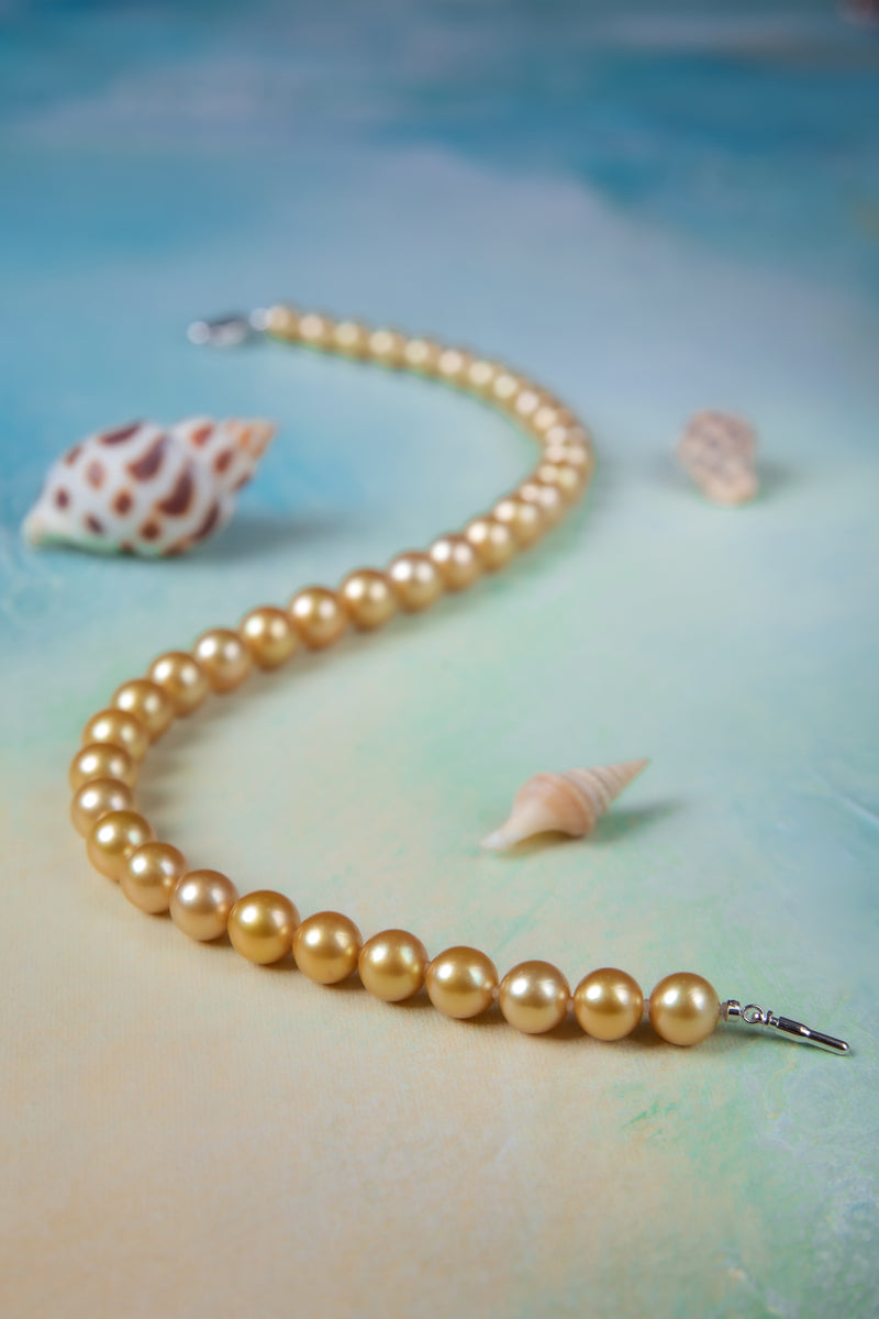 [Aura of Dawn] Cultured Natural Golden Pearl Necklace
